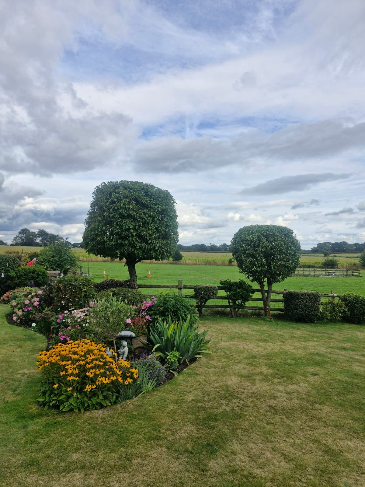 Two lollipop-shaped trees above a flower border with farmland beyond