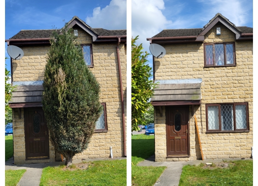 Before and after of a tall conifer removed from the front of a stone-built house