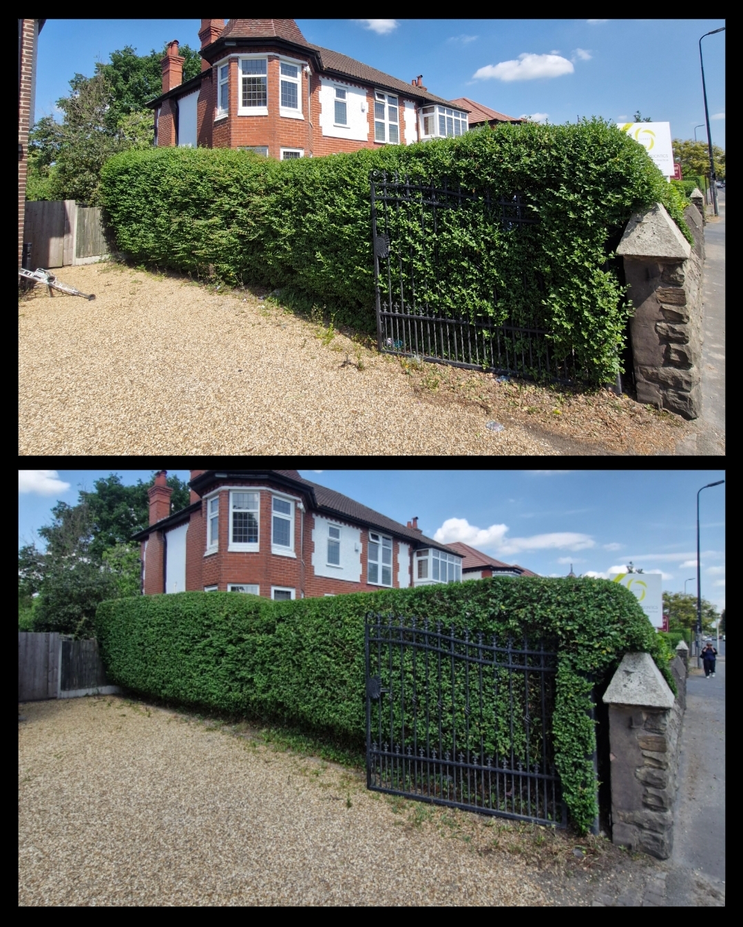 Before and after of an overgrown conifer removed from beside a front door