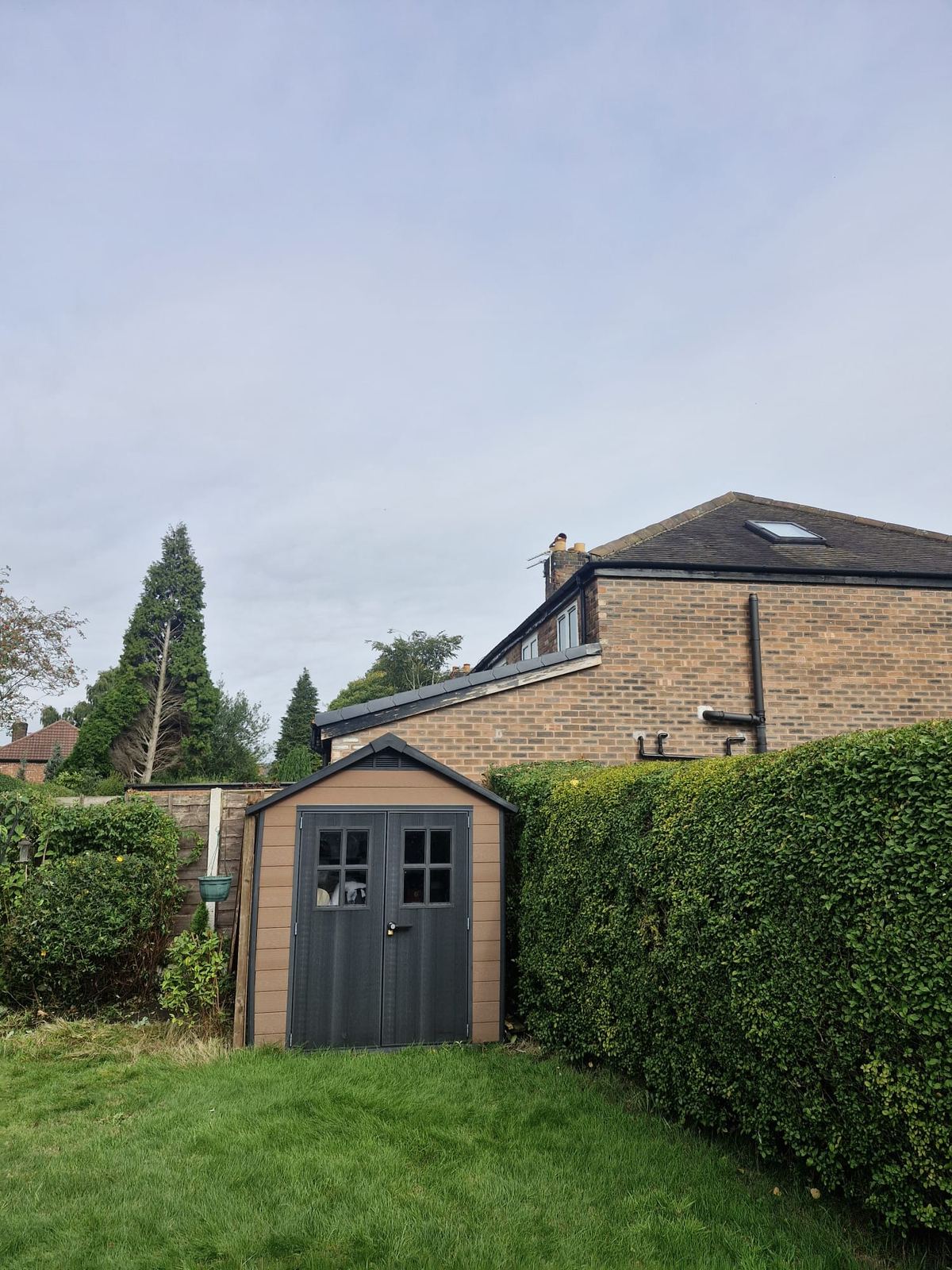 A garden shed framed by a neatly trimmed hedge with the overgrowth behind cleared
