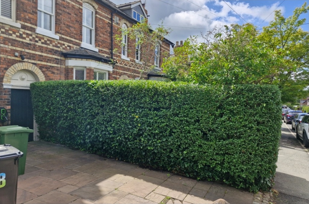 The same boundary hedge cut square and level with the path swept clean