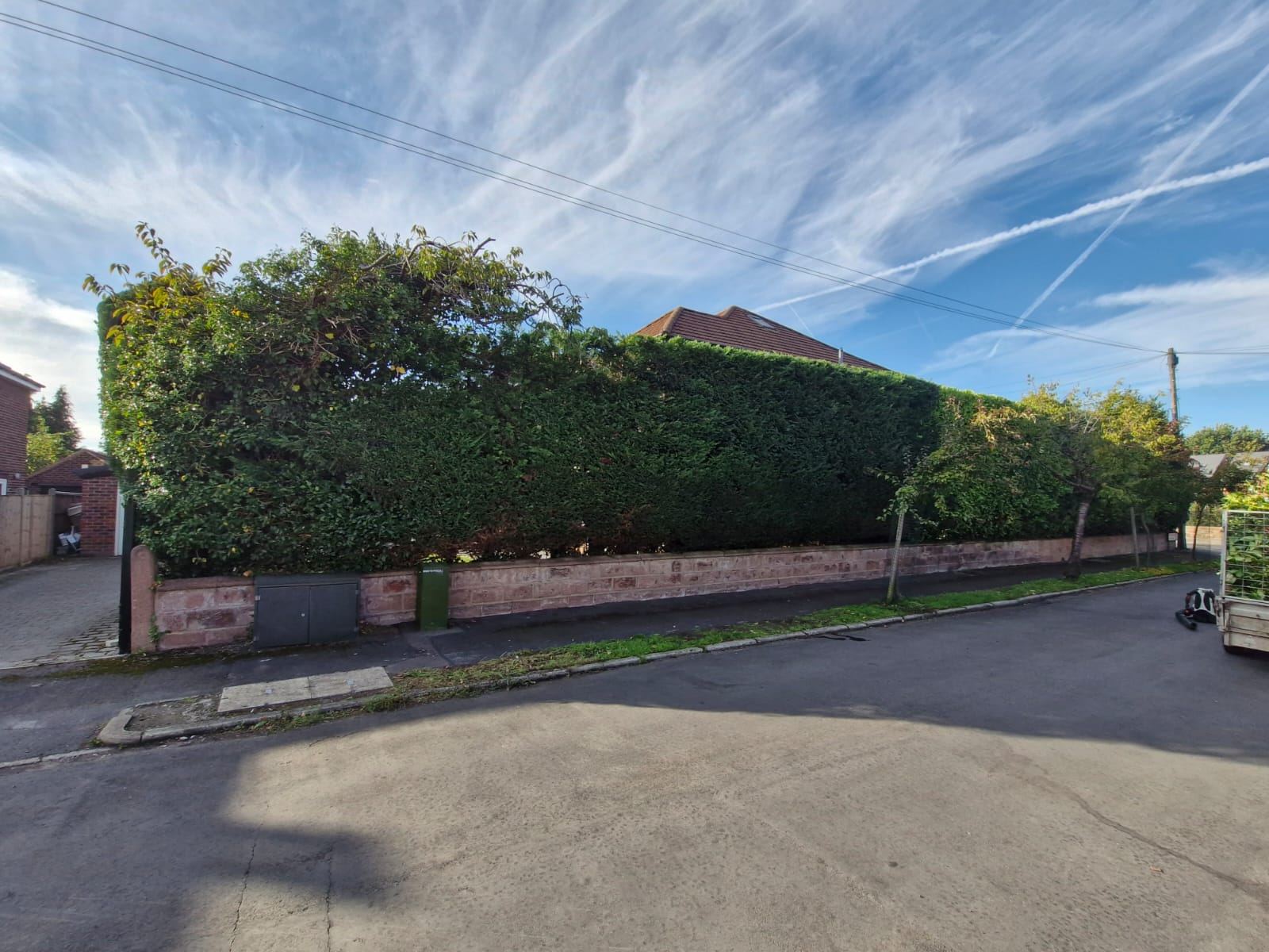 A long boundary hedge above a low brick wall cut back from the road