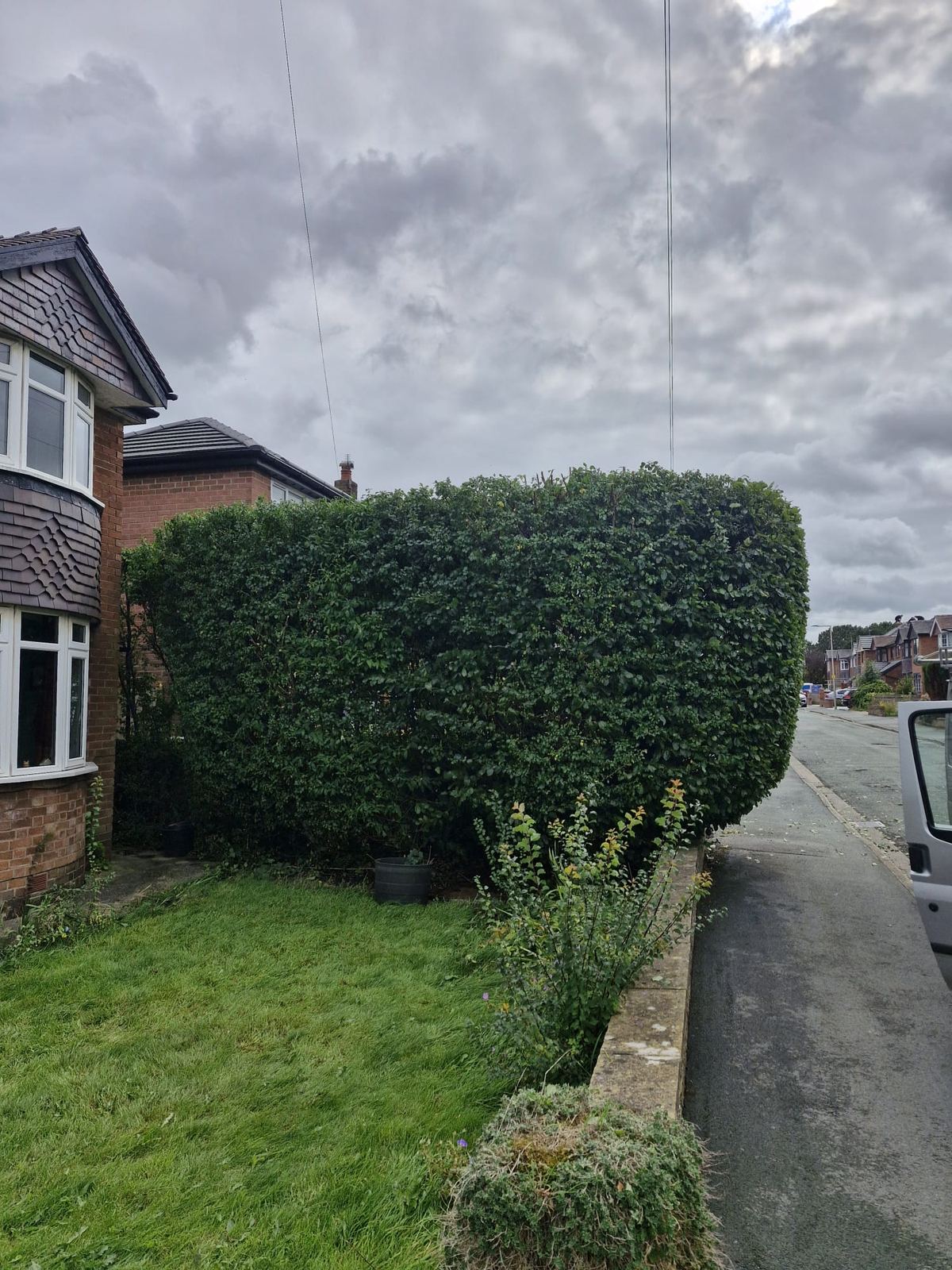 A dense front garden hedge beside a pavement shaped into a clean rounded block