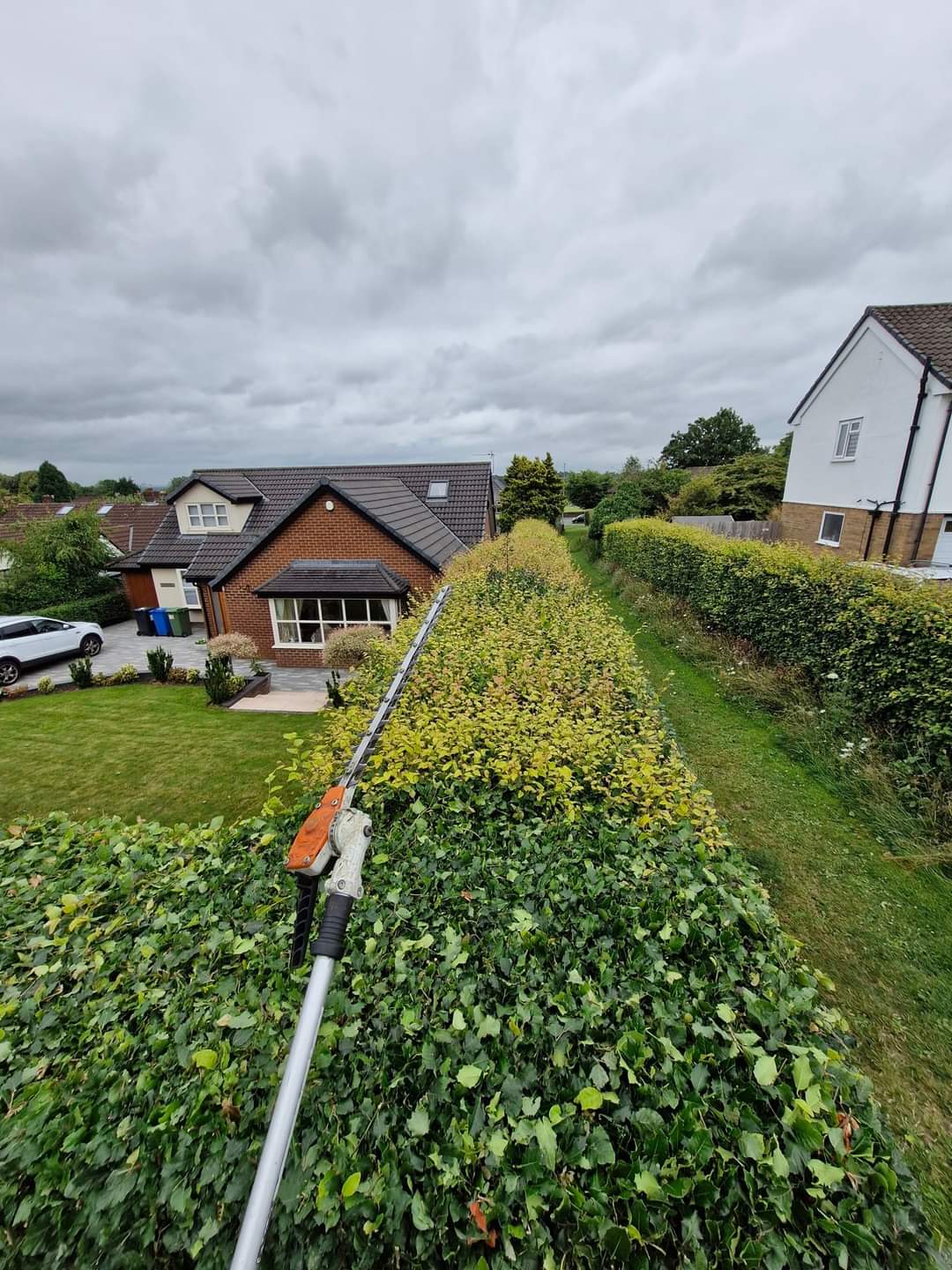 Long boundary hedge being cut level with a long-reach hedge trimmer