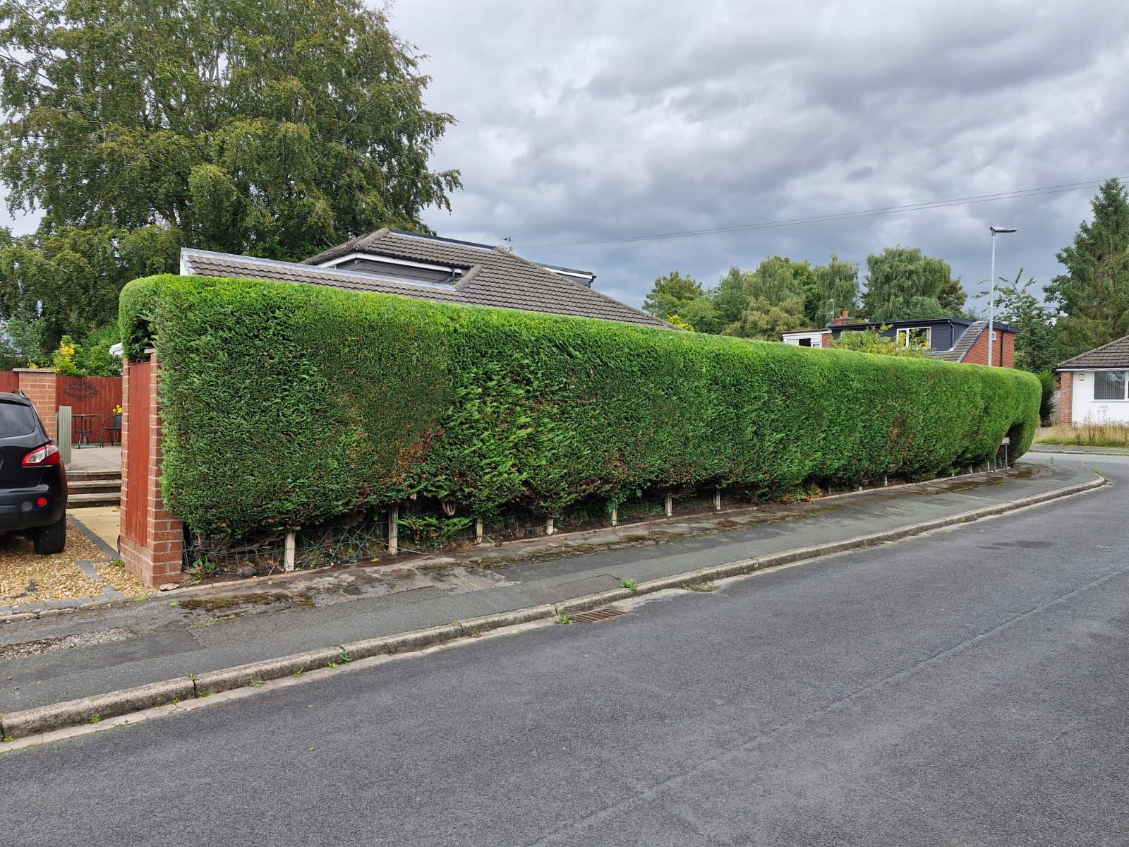 A long, neatly squared conifer hedge running around a bungalow boundary