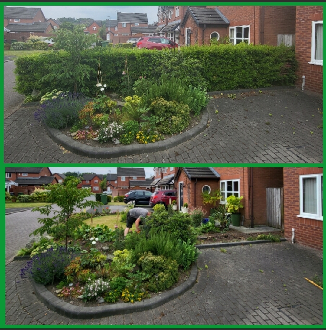 Before and after of a front island border weeded, pruned and the driveway swept clean
