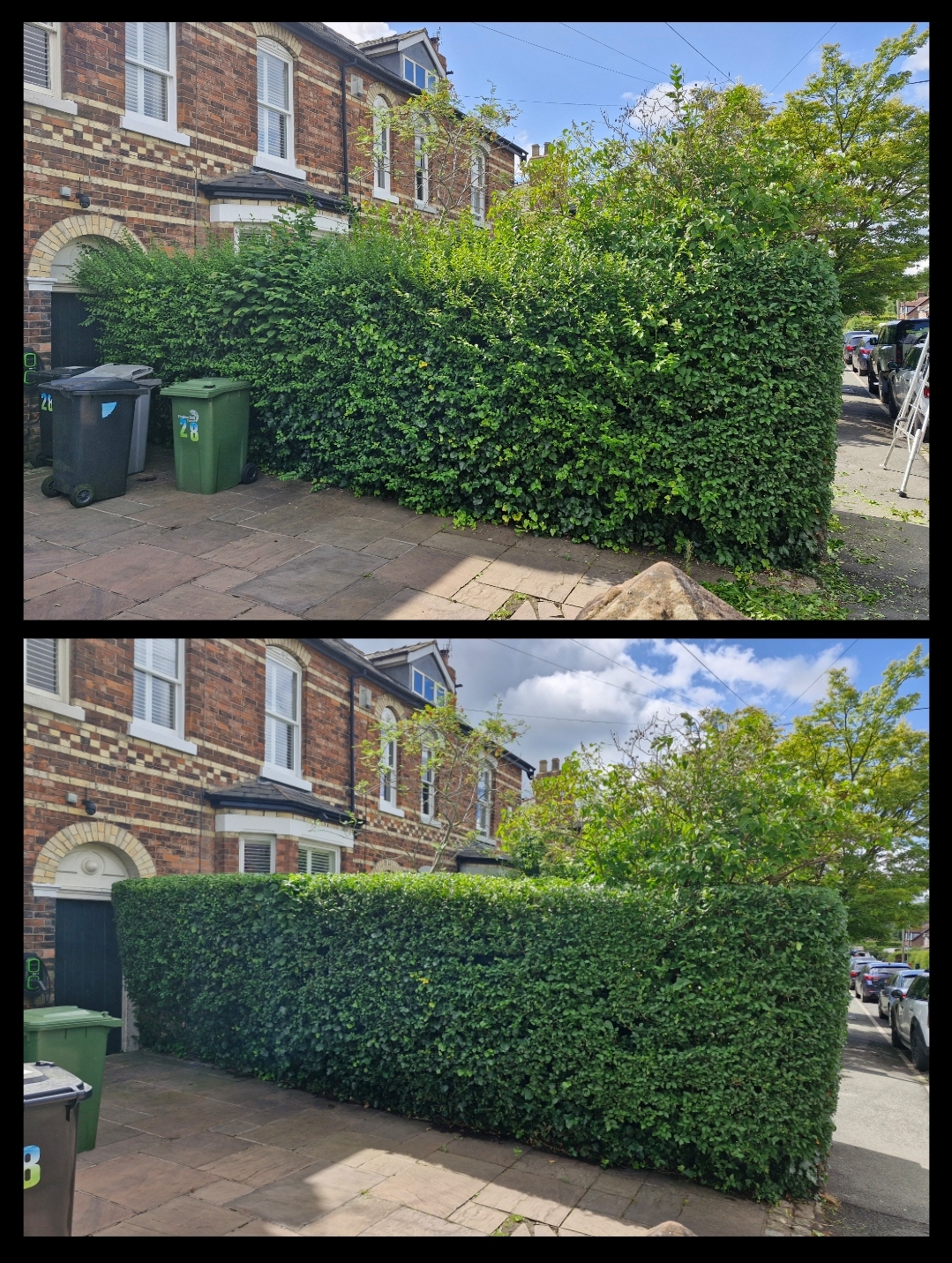 Before and after of a long roadside hedge cut back square around an iron gate